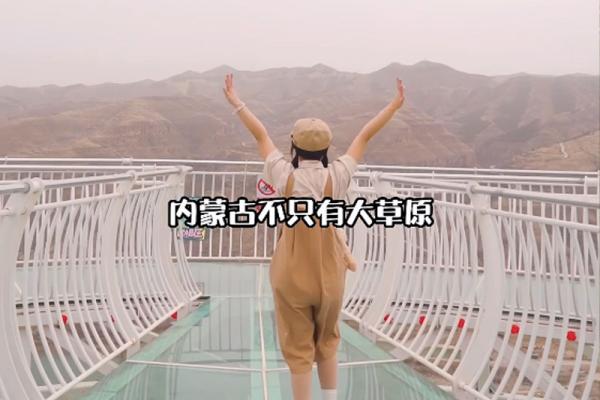 视频赏析